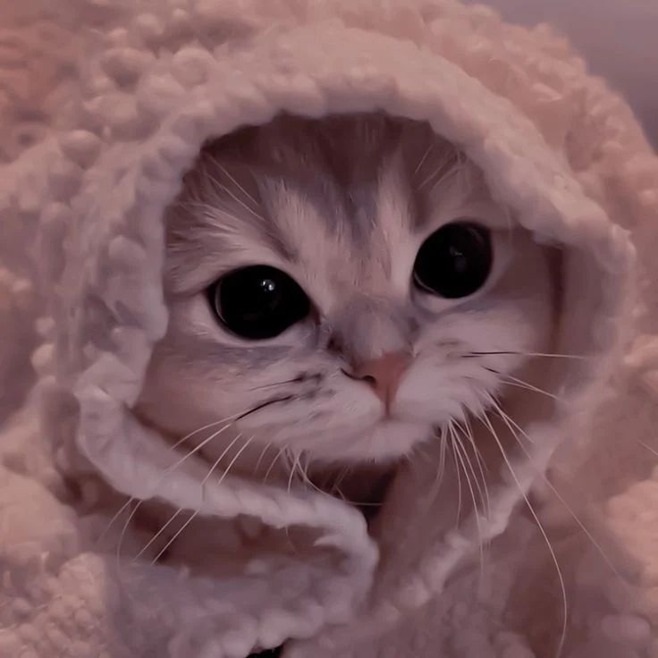 Sharing Tips Payhip - Ocean Textures - High Quality 8K Collection