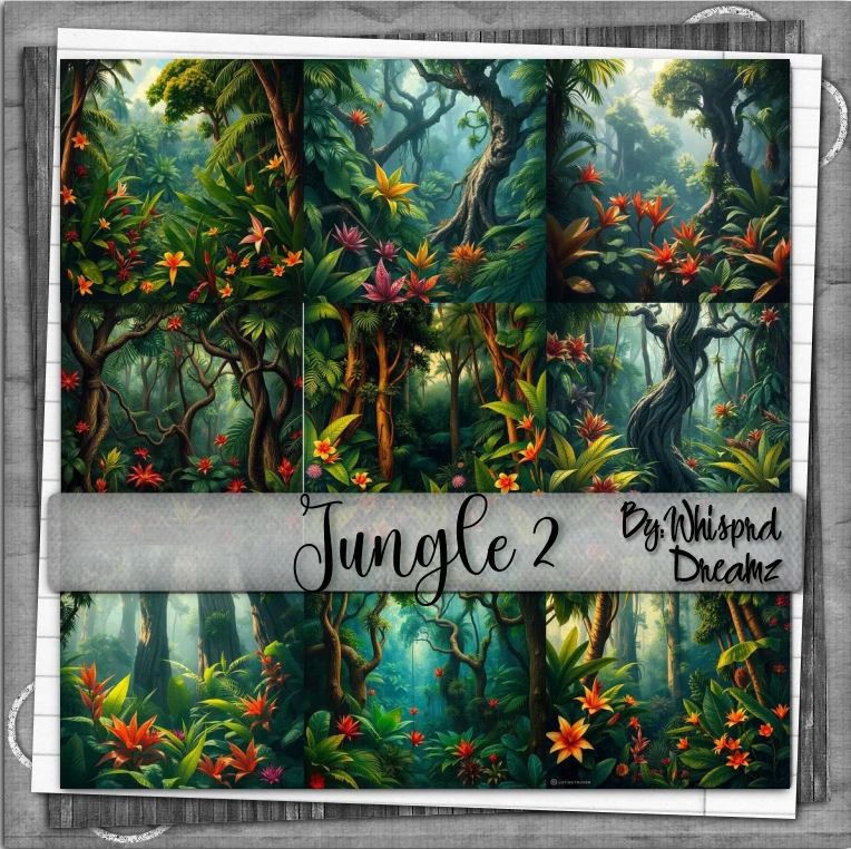 Jungle 2 Backgrounds Payhip - Classic Ultra HD Sunset Wallpapers | Free Download