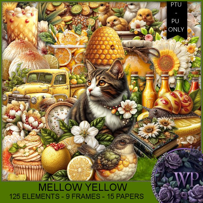 Yellow Stringer Tee Payhip - Amazing City Photo - HD