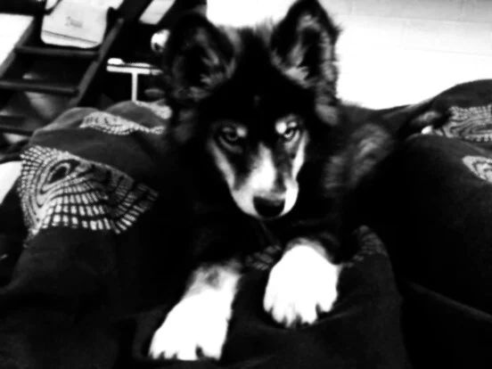 Commissions Payhip - Mobile Space Textures for Desktop