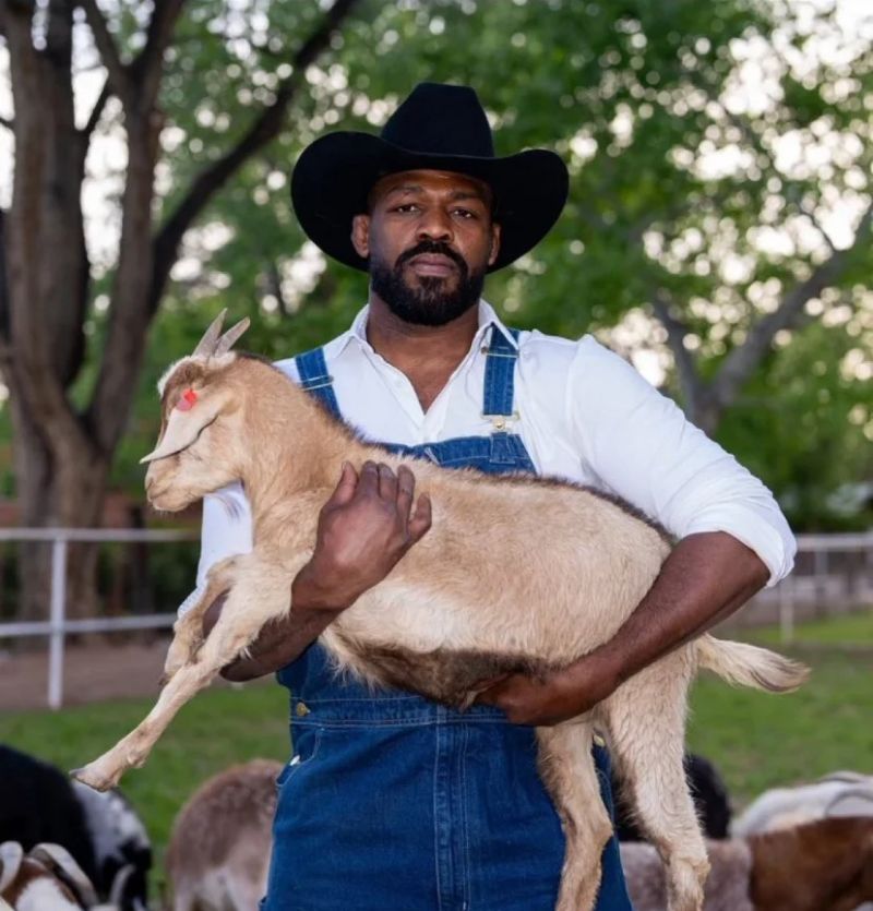 Cuff Tweaks Payhip - Geometric Illustrations - Incredible Full HD Collection