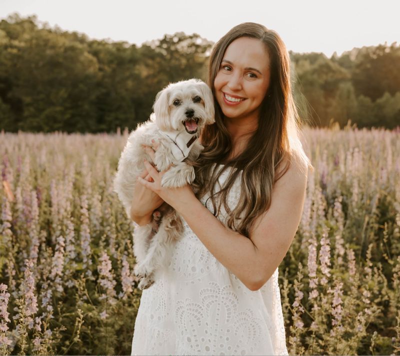 The Credit Crew Payhip - Gorgeous City Wallpaper - 8K