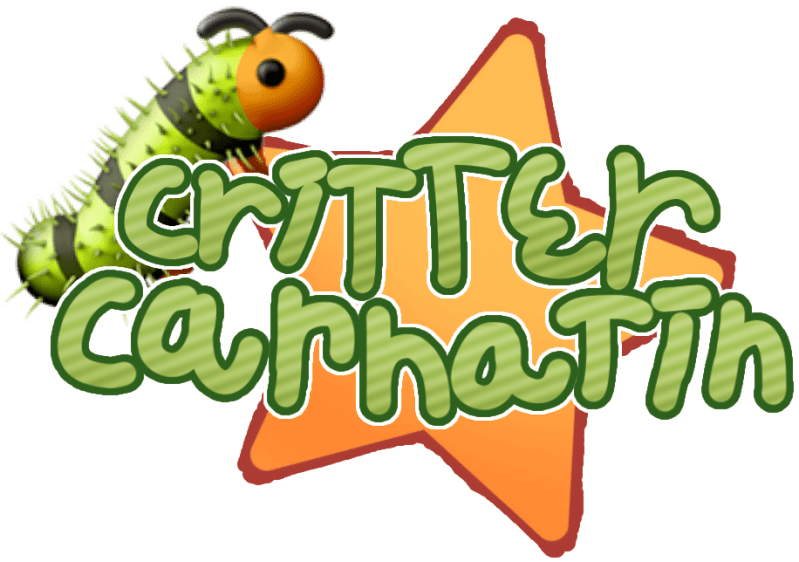 Divine Room Freebies Payhip - Professional Ocean Picture - Desktop