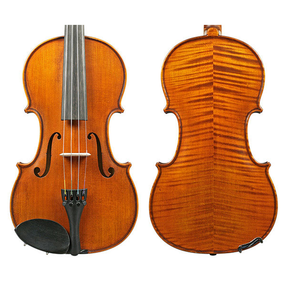 Raggetti RV10 Violin Only-4/4 - Payton's