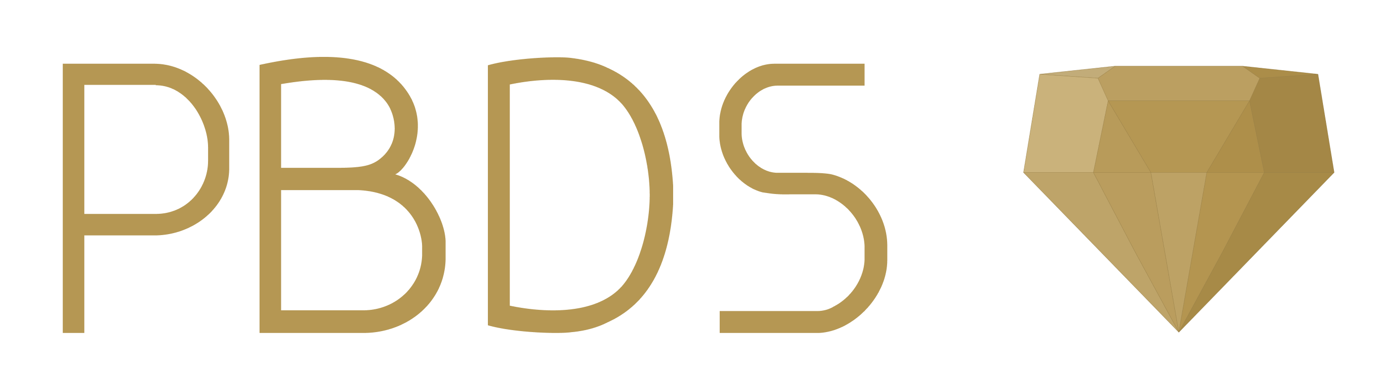 PB Data Solutions