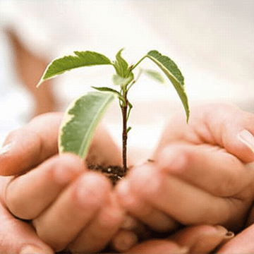 СТРАХОВАНИЕ