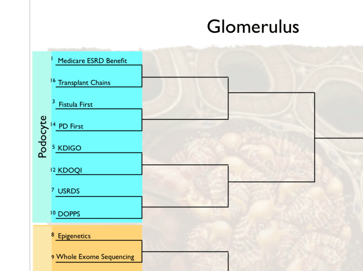 Lecture: Journey to NephMadness