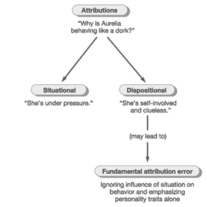 She always seems to get a low grade. Actor Observer Asymmetry The Daily Omnivore