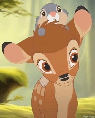 Deer And Rabbit Paint By Number