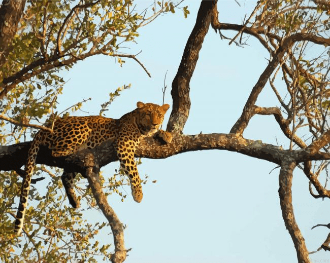 Leopard In Tree Paint By Number