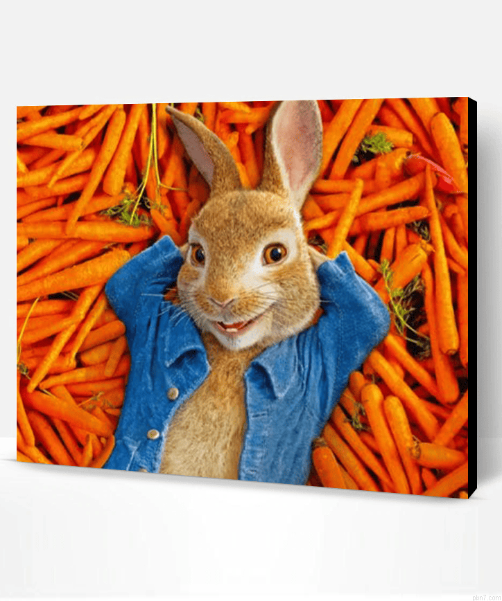 Peter Rabbit Painting By Numberss.png