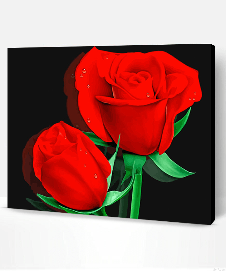 Red Roses Painting By Numberss.png