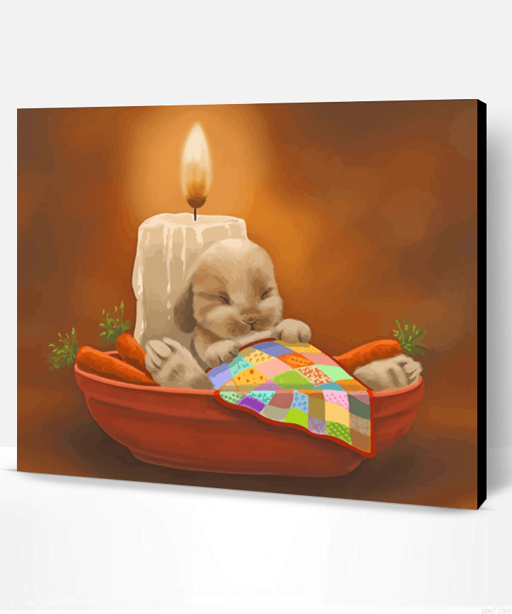 Sleepy Rabbit Painting By Numberss.png