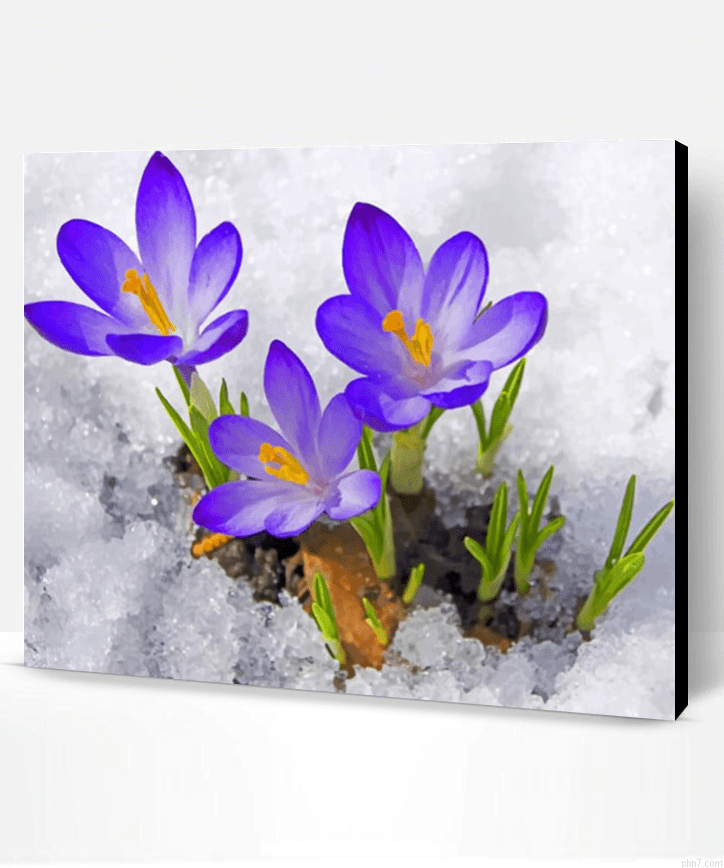 Spring In The Snow Painting By Numberss.png