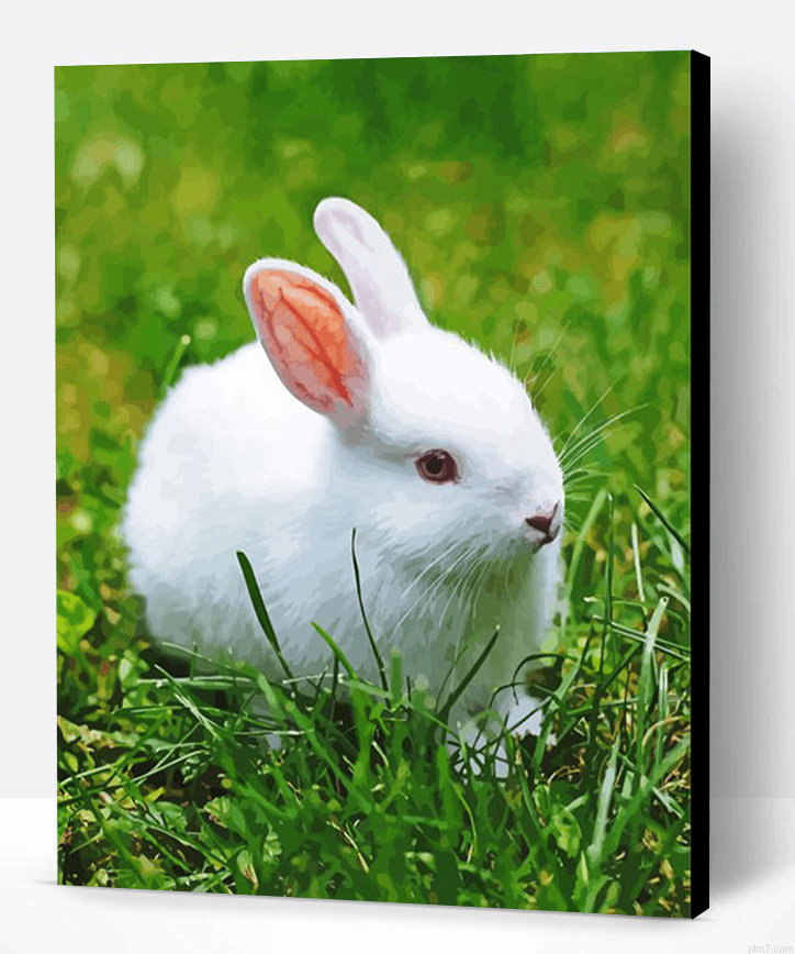 White Small Rabbit Painting By Numberss.png