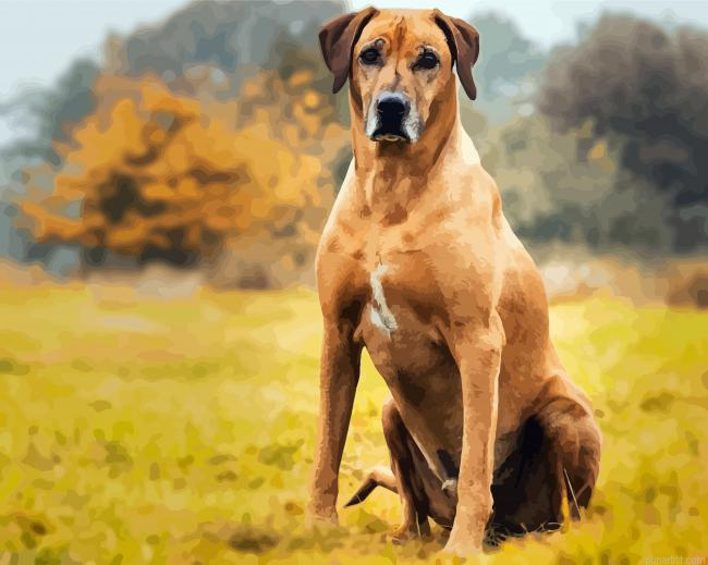 Strong Rhodesian Ridgeback Animal Painting By Numbers.png