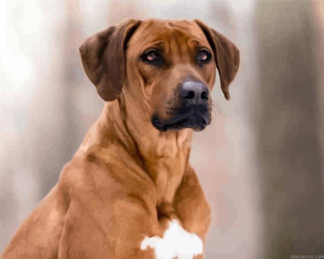 Closeup-Rhodesian-Ridgeback-Painting-by-Numbers.jpeg Closeup rhodesian ridgeback painting by numbers.jpeg