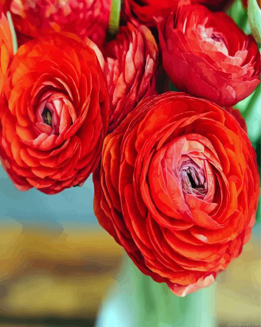 Red ranunculus painting by numbers.jpeg