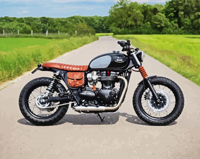 Triumph motorcycle painting by numbers.jpeg