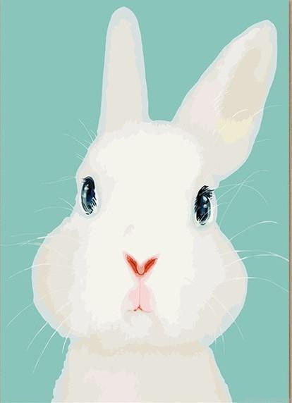 White rabbit animals painting by numbers.jpeg