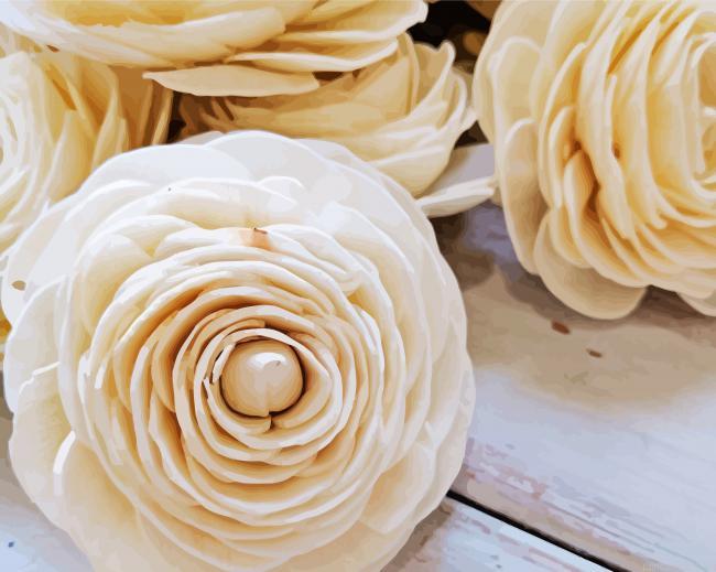 White ranunculus flowers painting by numbers.jpeg