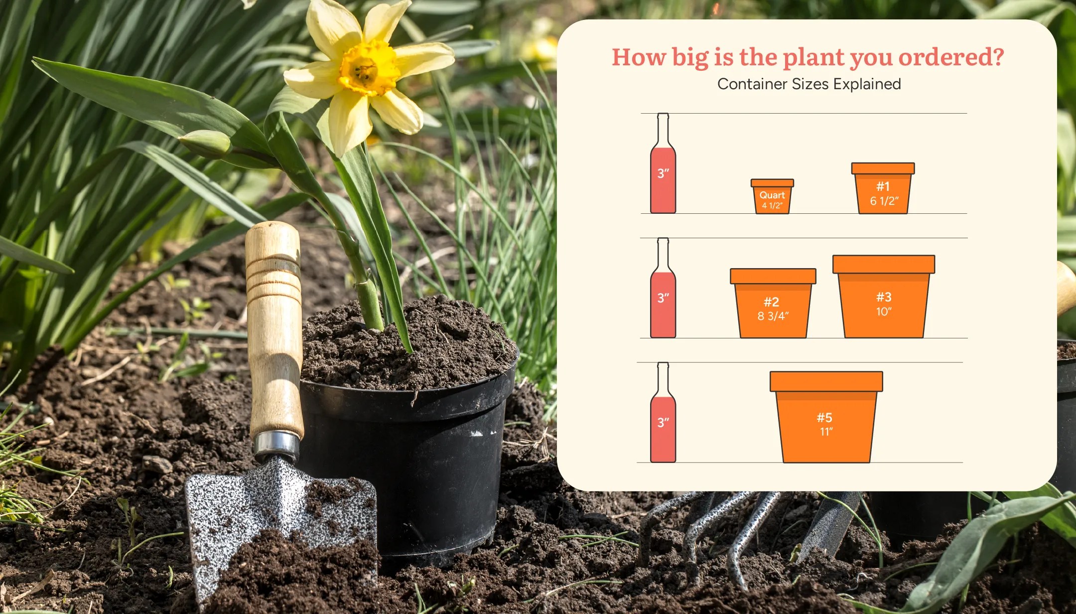 Pot sizes