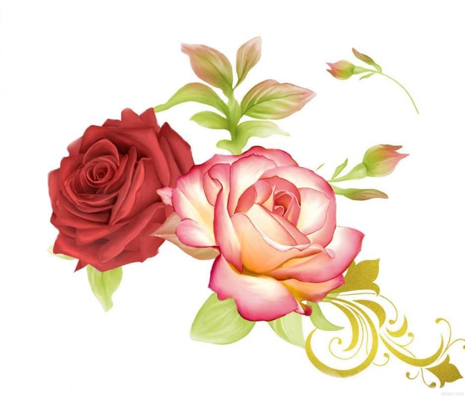 Blooming Roses Paint By Numbers.jpeg