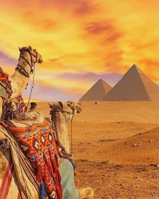 Camels In Pyramids Desert Paint By Numbers.jpeg