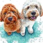 Cockapoo Dogs Paint By Numbers.jpeg