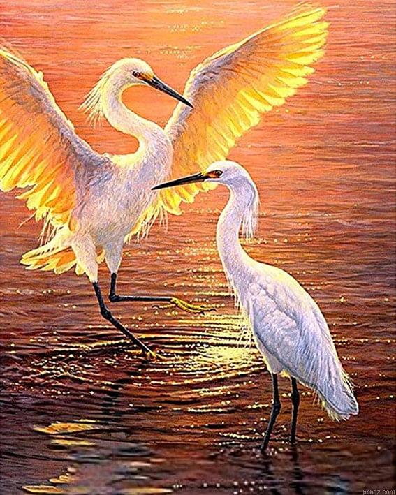 Cranes In Pond Paint By Numbers.jpeg