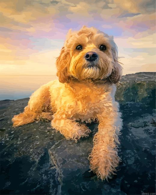 Cute Cockapoo Puppy Paint By Numbers.jpeg