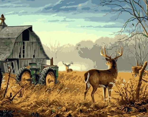 Deer In Farm Paint By Numbers.jpeg