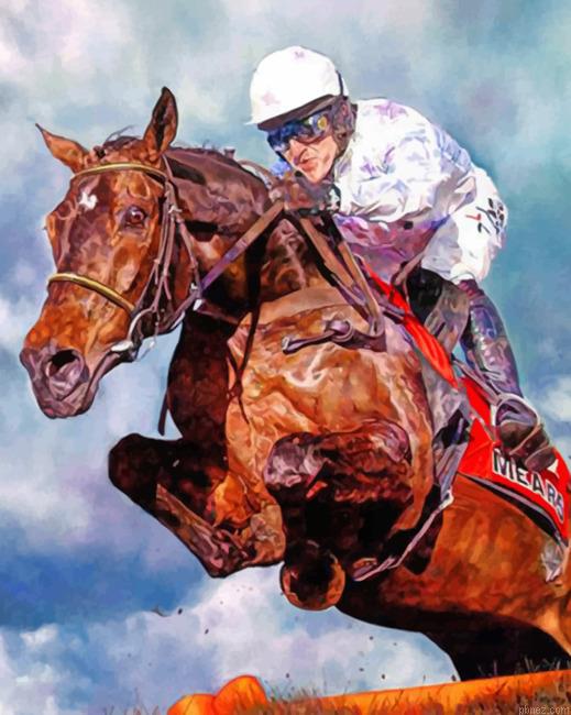 Horse Racing Rider Paint By Numbers.jpeg