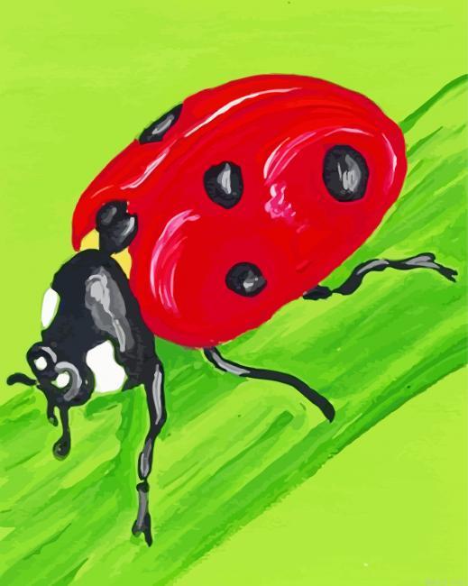 Lady Insect Paint By Numbers.jpeg