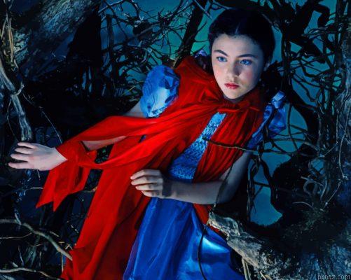 Little Red Riding Hood Paint By Numbers.jpeg