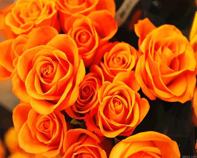 Orange Roses Paint By Numbers.jpeg