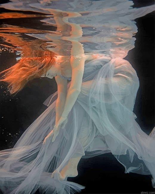 Redhead In The Water Paint By Numbers.jpeg