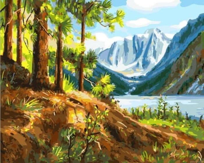Spring Nature Scenery Paint By Numbers