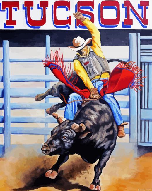 The Bull Rider Paint By Numbers.jpeg