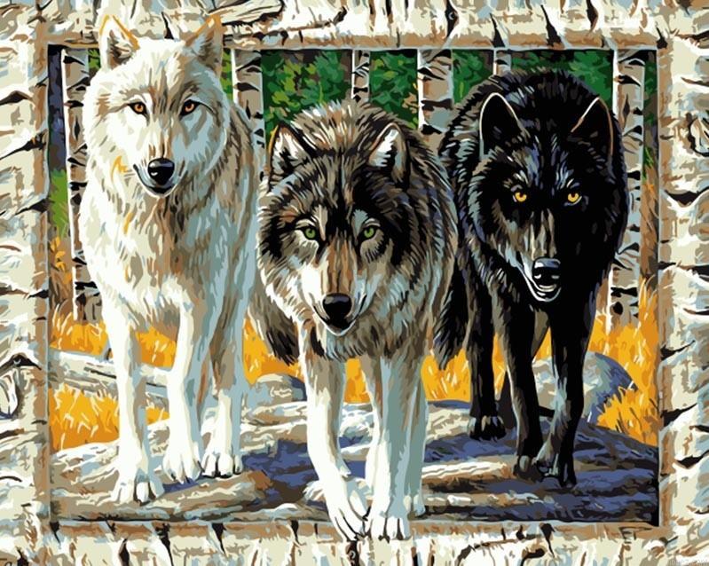 Three Wolves Paint By Numbers