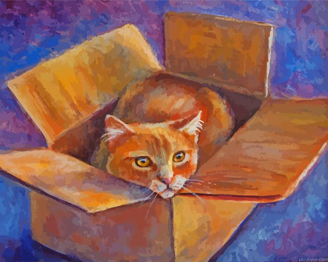 Cat In A Box Paint By Numbers