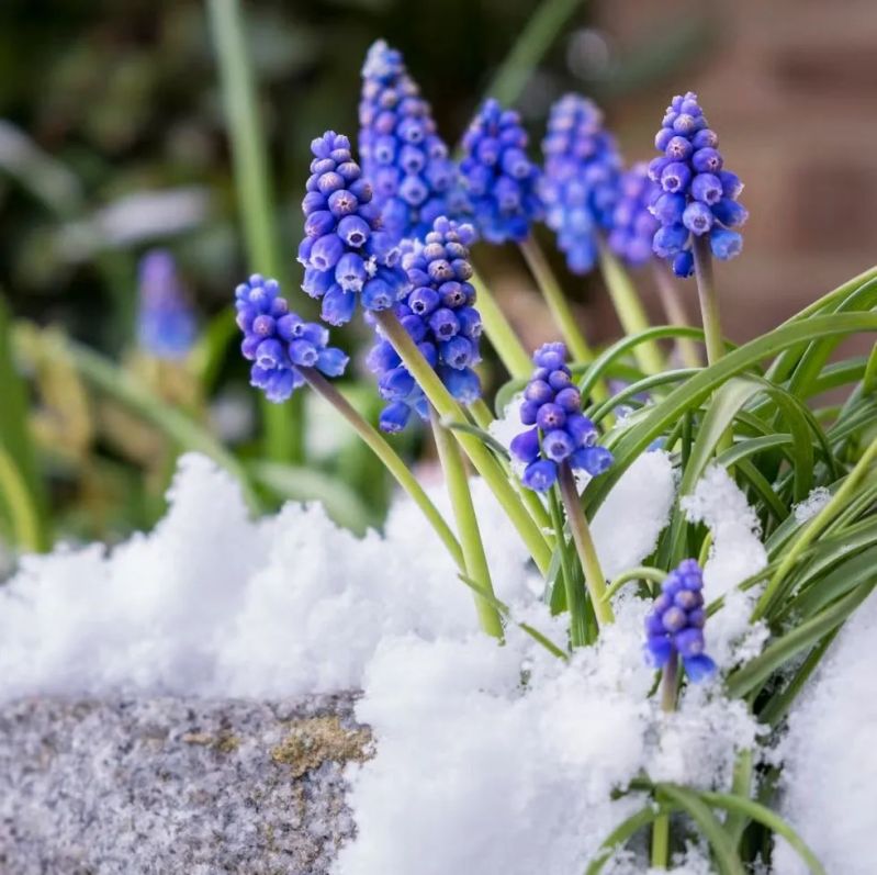 Spring Reset Pinterest - Landscape Image Collection - Desktop Quality