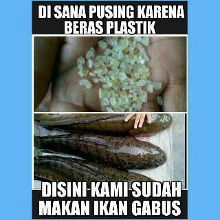 Gratis Download Gambar 84 Best DP WhatsApp Gambar Makanan Lucu DPseruabis Terkeren oleh Lampunghits.com