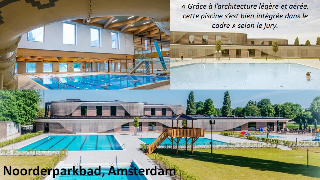 Nieuw Amsterdam Decks Outdoor