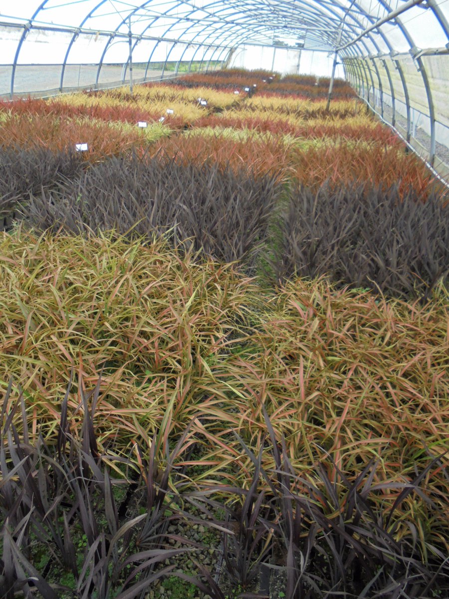 Jacques Briant Paris Cote Jardin