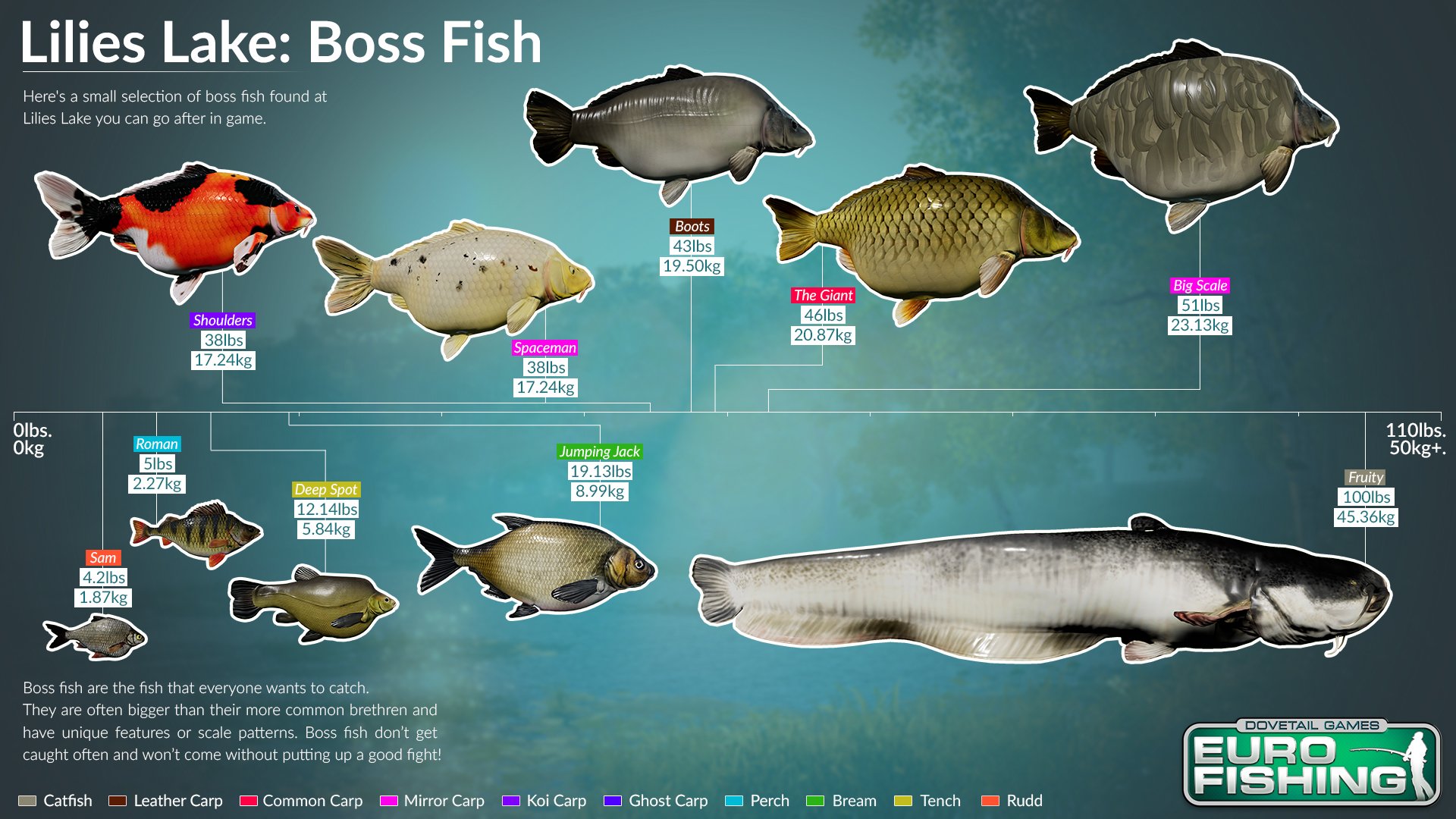 Let S Fish Free Online Game To Play Fishing Games Ok I am attaching a list of 99149 words that I created from an old Linux aspell file. Let S Fish Free Online Game To Play Fishing Games - Main goods are marked with red color.