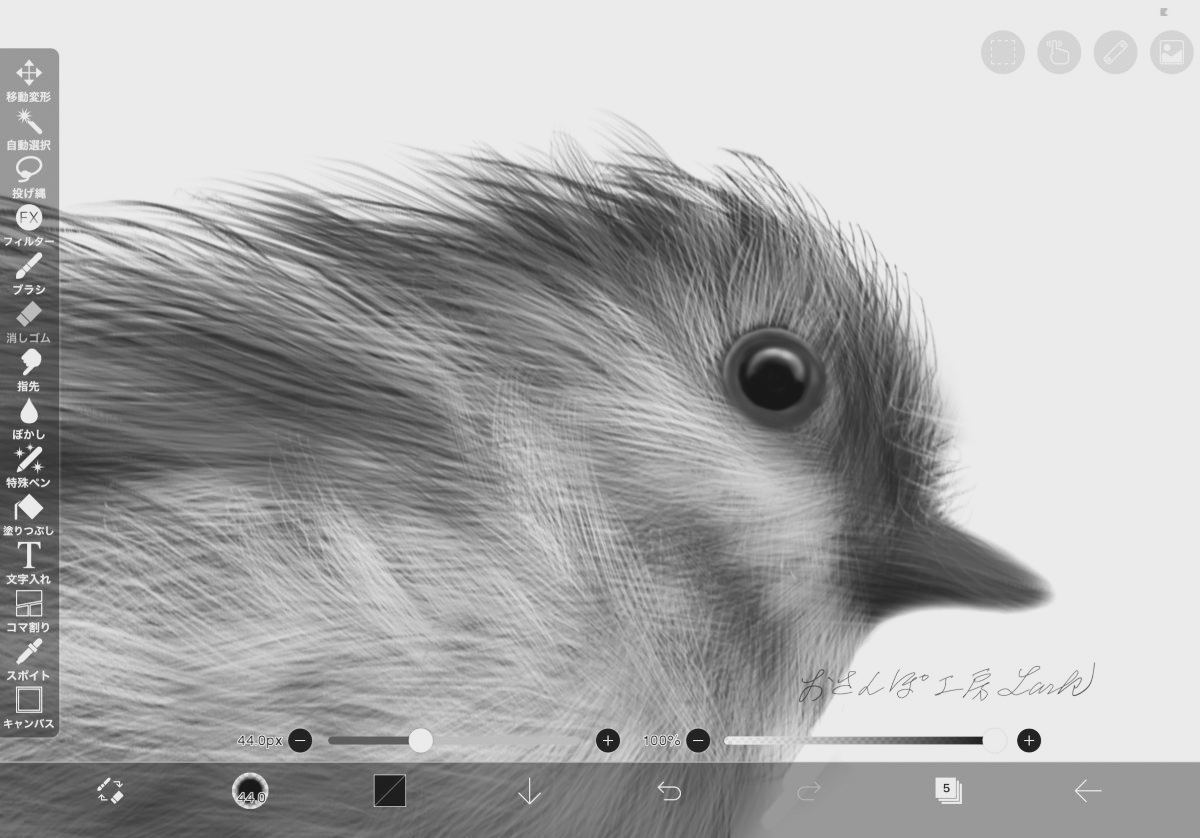 オリジナルの鳥ブラシを調整中その②エナガ描いてみました。 │ お