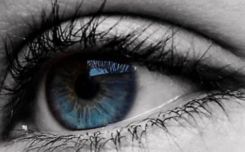 Los Humanos de Ojos Azules Descienden de un Solo Ancestro Com&uacute;n