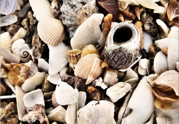 Shellshock, la grave vulnerabilidad en Bash y todo lo que debes saber