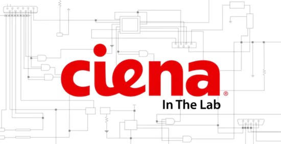 La nueva solución de cifrado de Ciena reduce los riesgos de violaciones de datos en las redes metro y de largo alcance